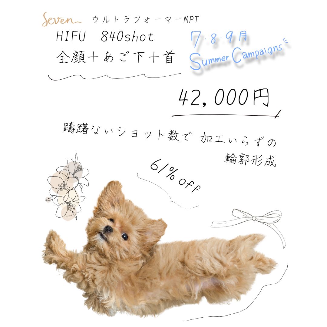 キャンペーン