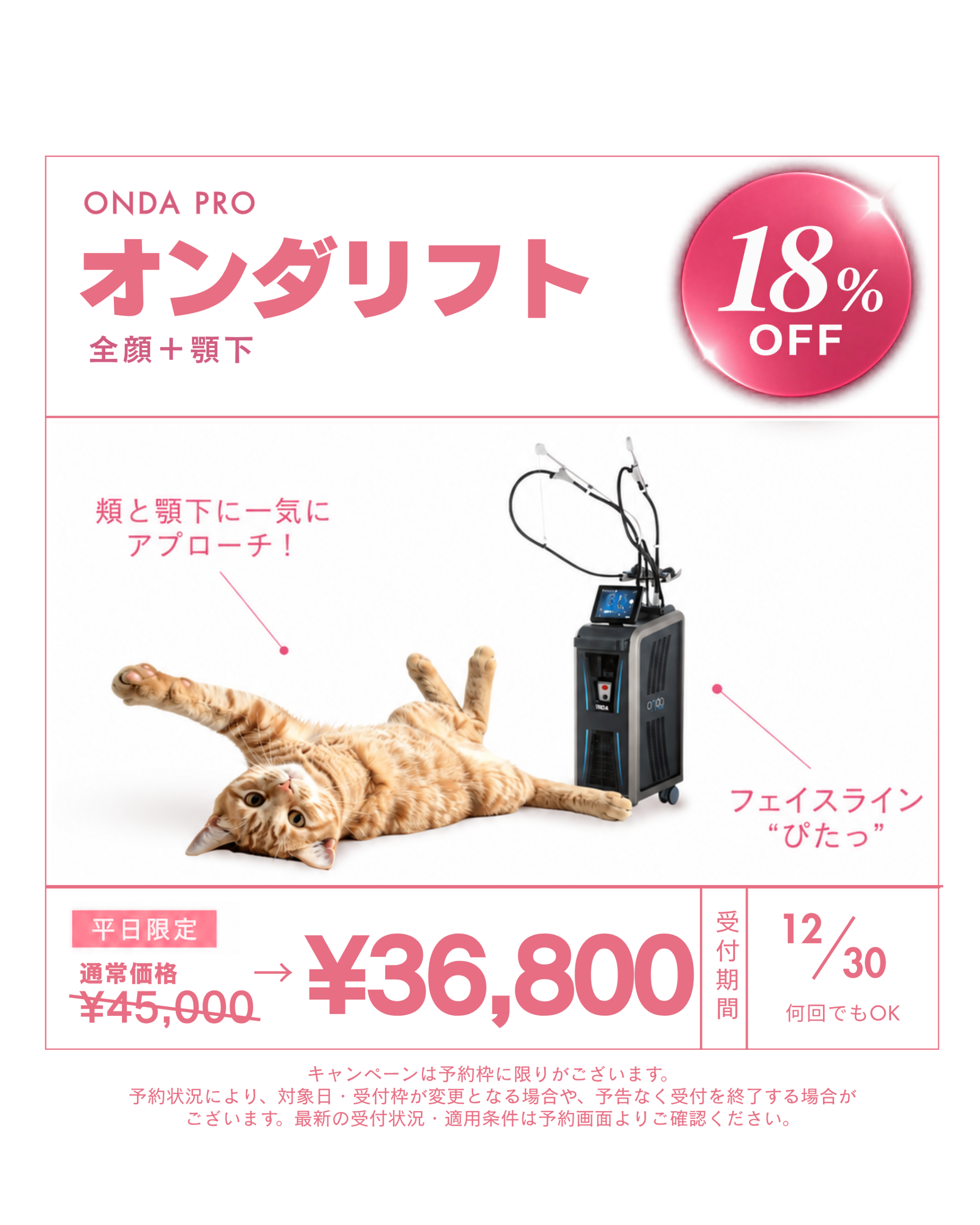 キャンペーン