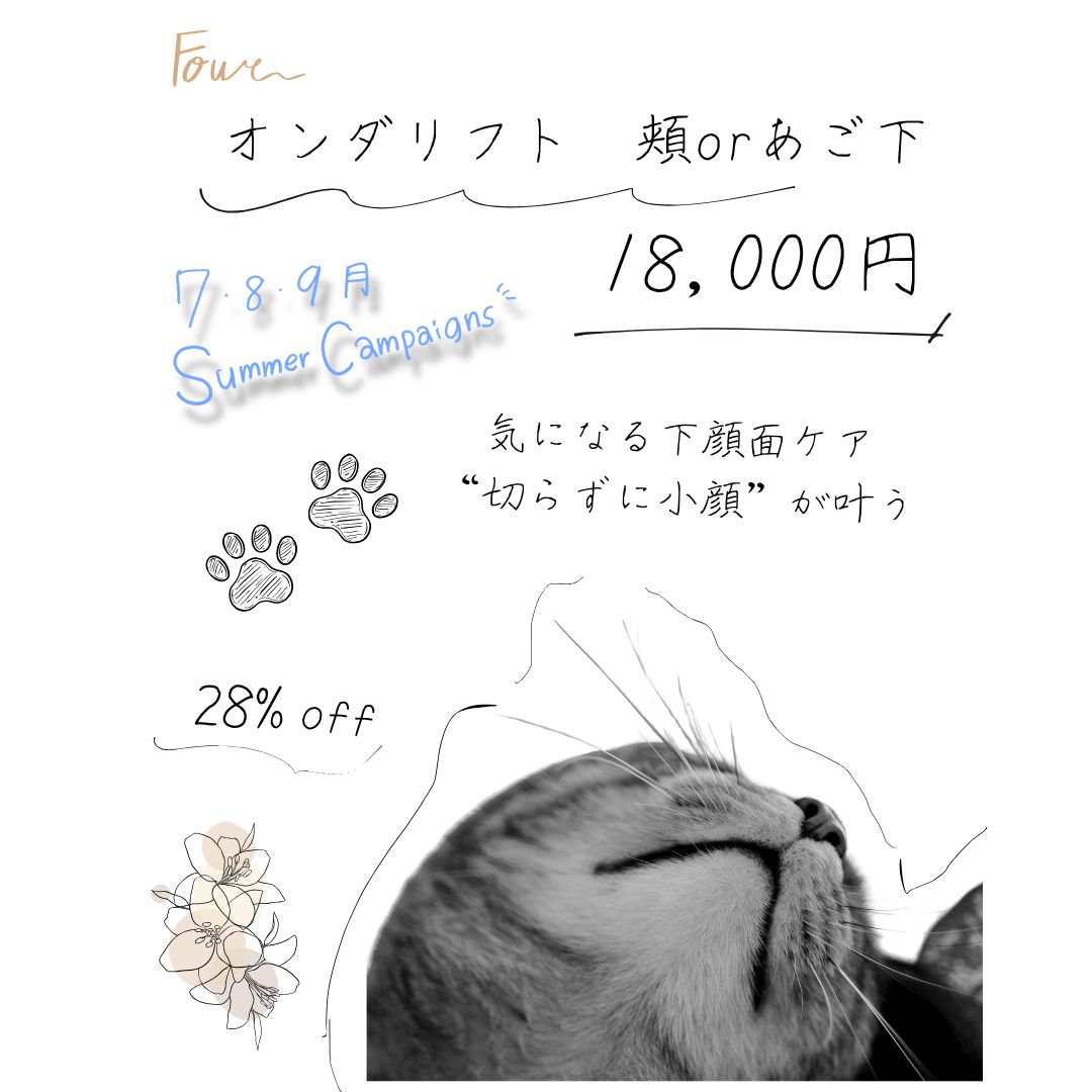 キャンペーン